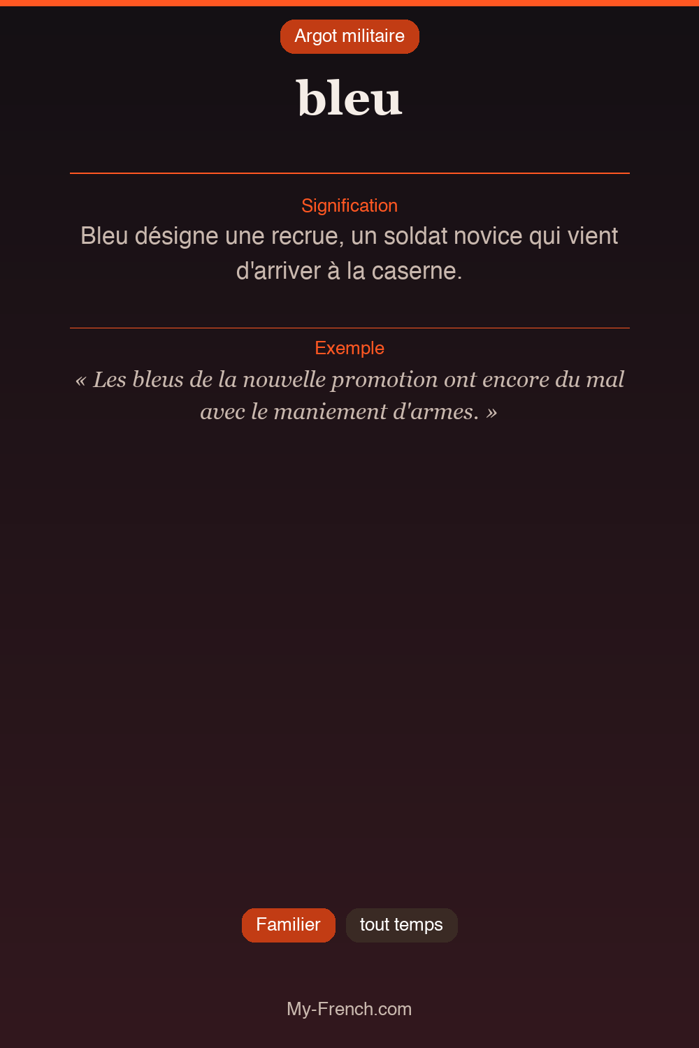 Argot français : bleu