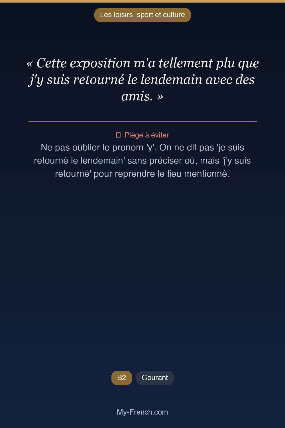 Phrase de français professionnel : Cette exposition m'a tellement plu que j'y suis retourné le lendemain avec des amis.
