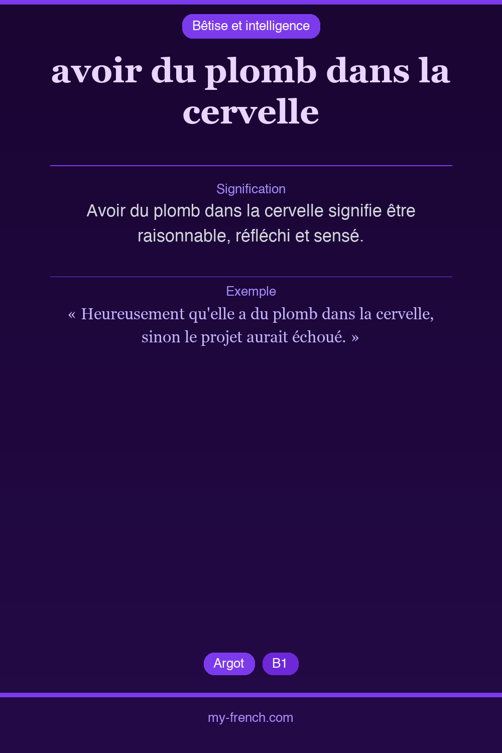 Expression idiomatique : avoir du plomb dans la cervelle