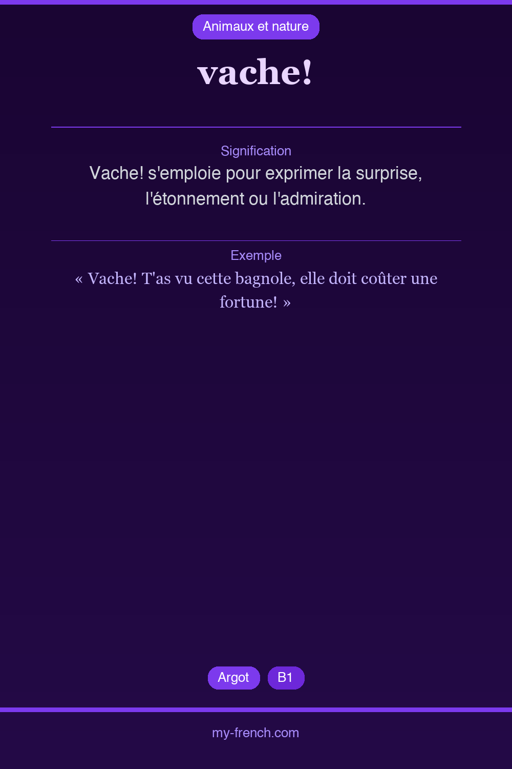 Expression idiomatique : vache!