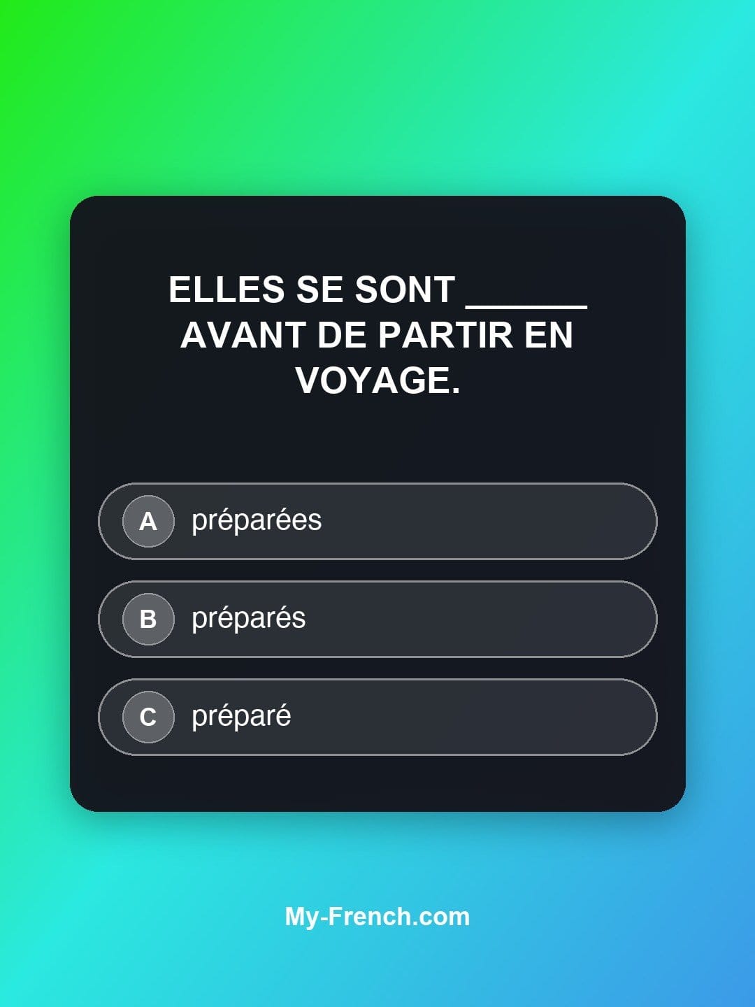 Quiz de français niveau B1 : Elles se sont ______ avant de partir en voyage.