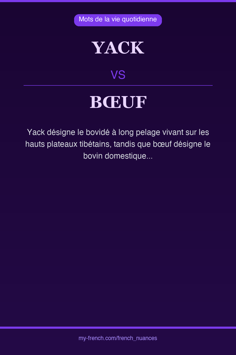 yack vs bœuf : quelle nuance ?