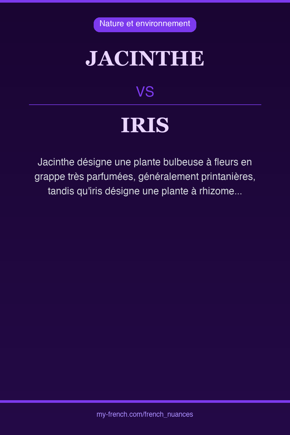 jacinthe vs iris : quelle nuance ?