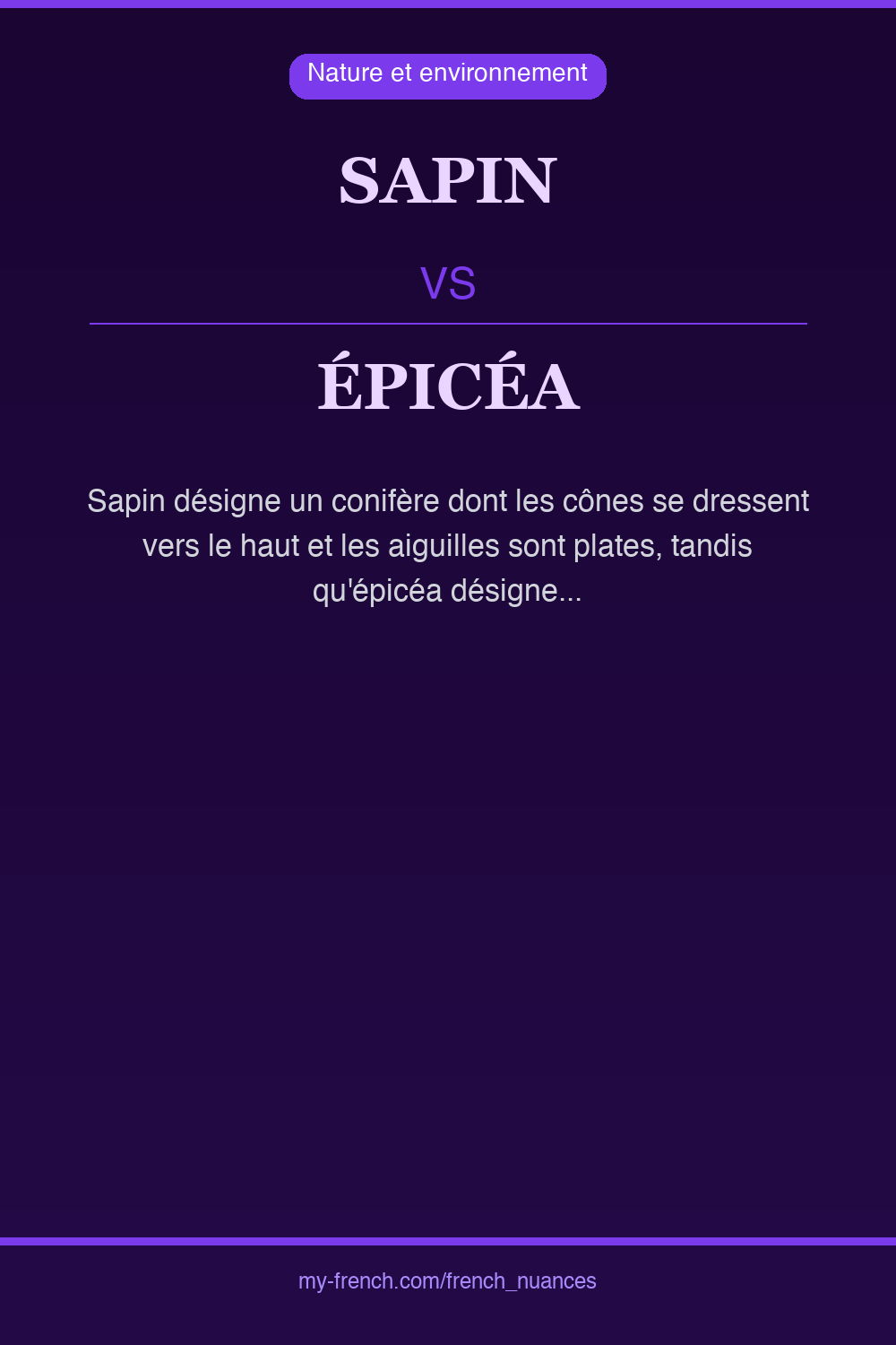 sapin vs épicéa : quelle nuance ?