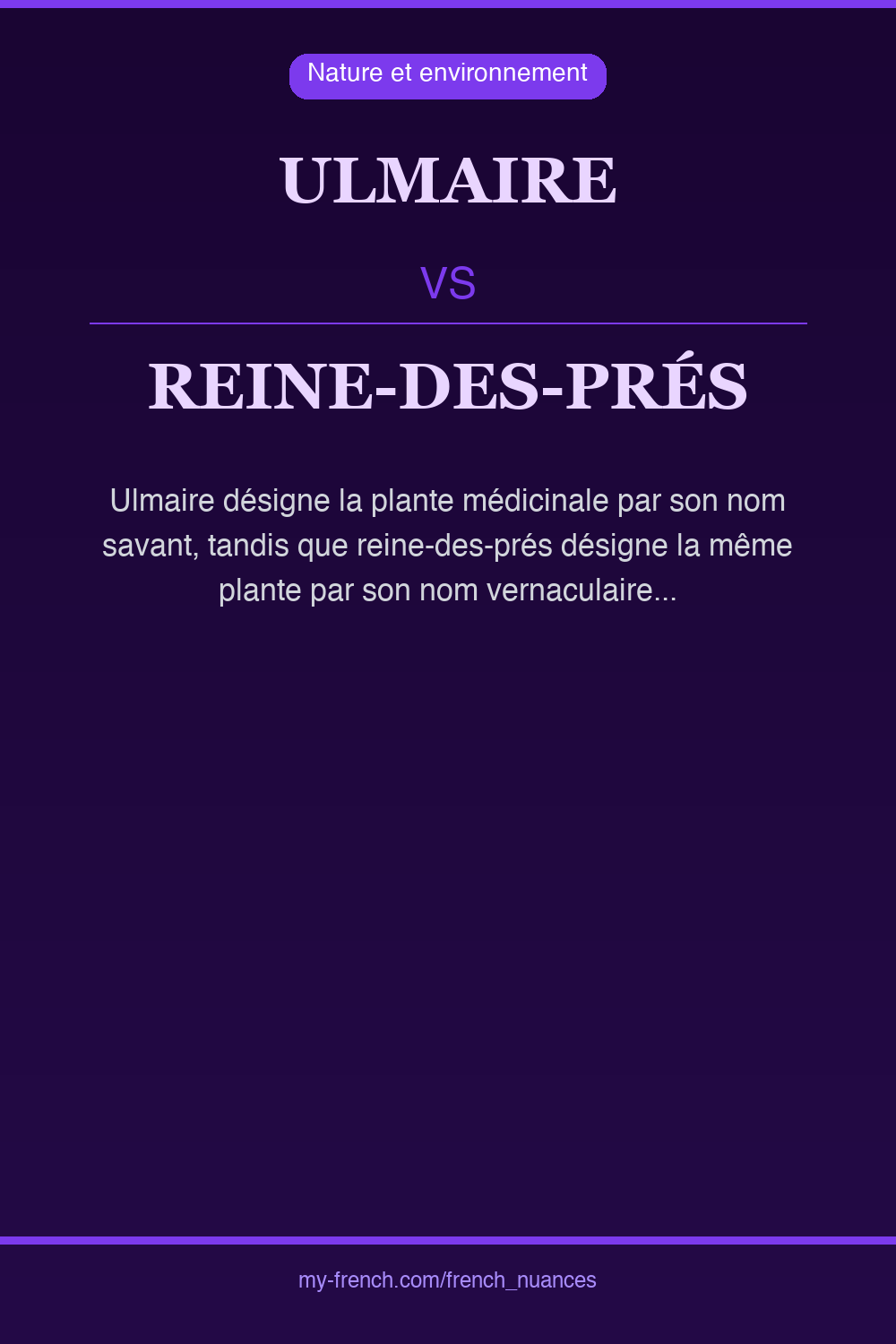 ulmaire vs reine-des-prés : quelle nuance ?