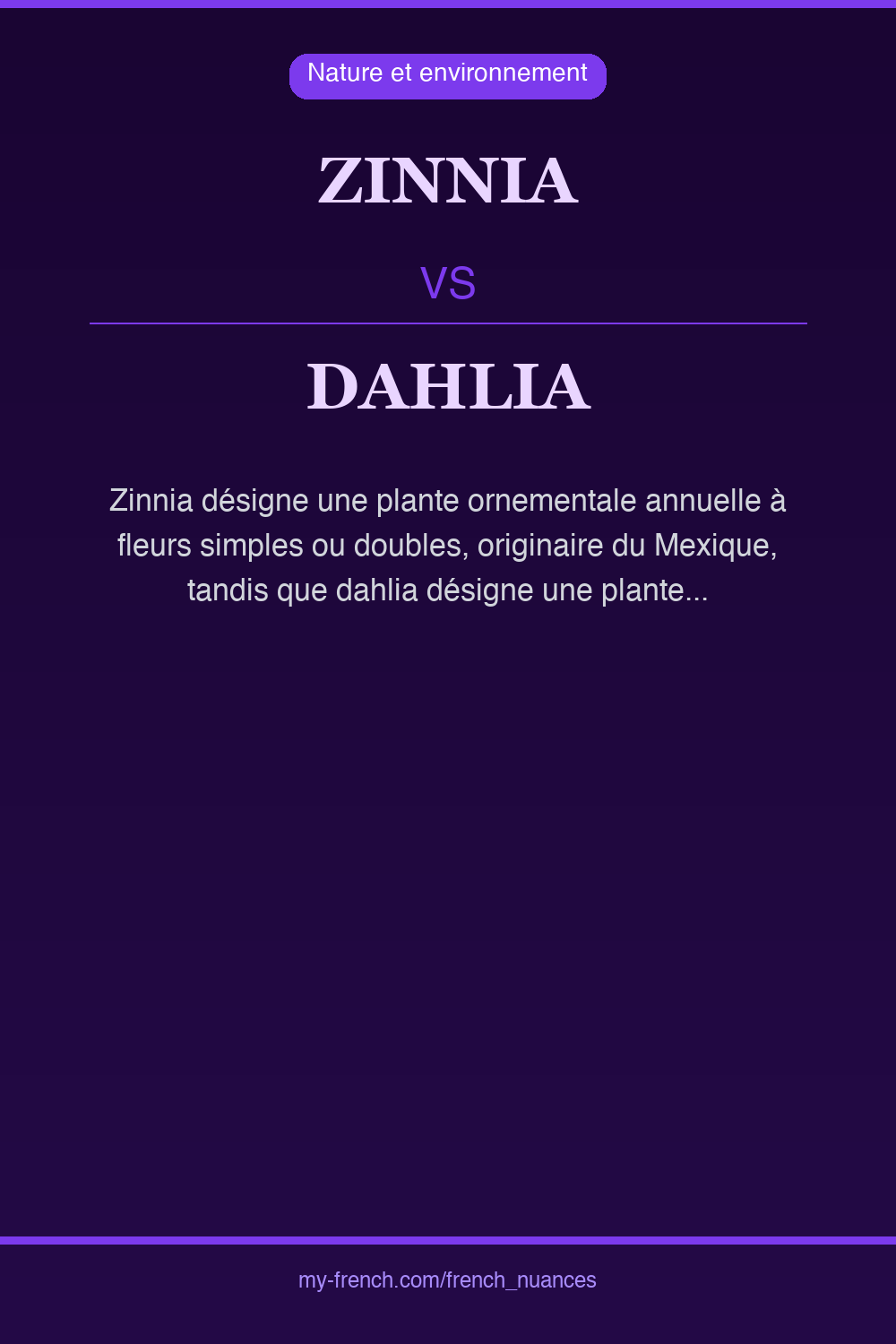 zinnia vs dahlia : quelle nuance ?