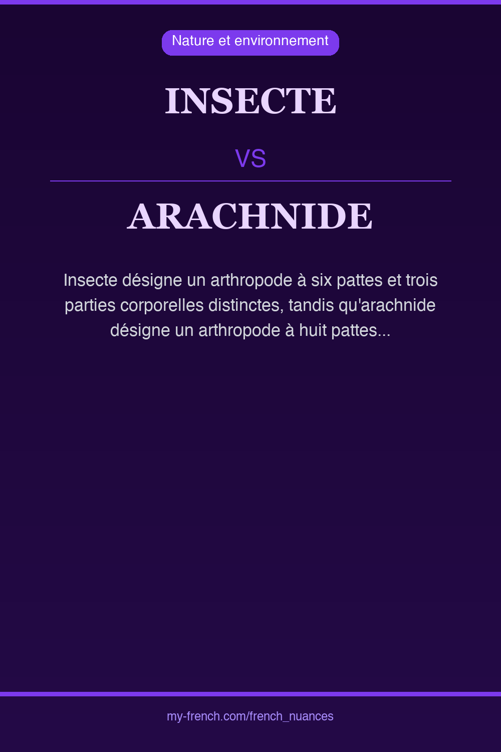 insecte vs arachnide : quelle nuance ?