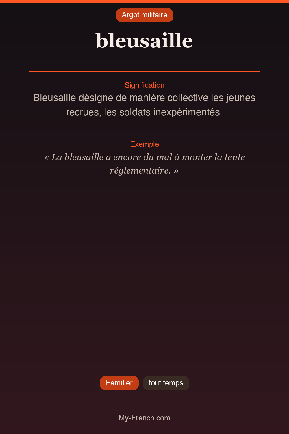 Argot français : « bleusaille »