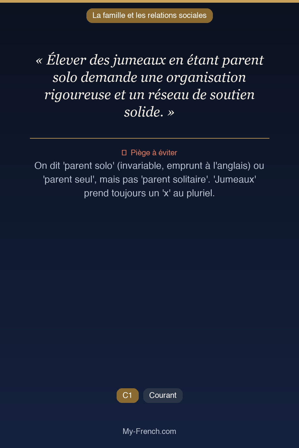 Français des affaires : « Élever des jumeaux en étant parent solo demande une organisation rigou »