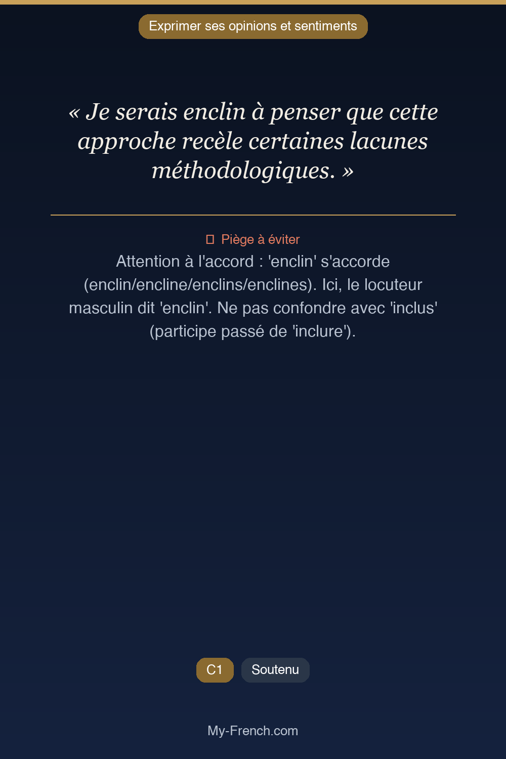 Français des affaires : « Je serais enclin à penser que cette approche recèle certaines lacunes  »