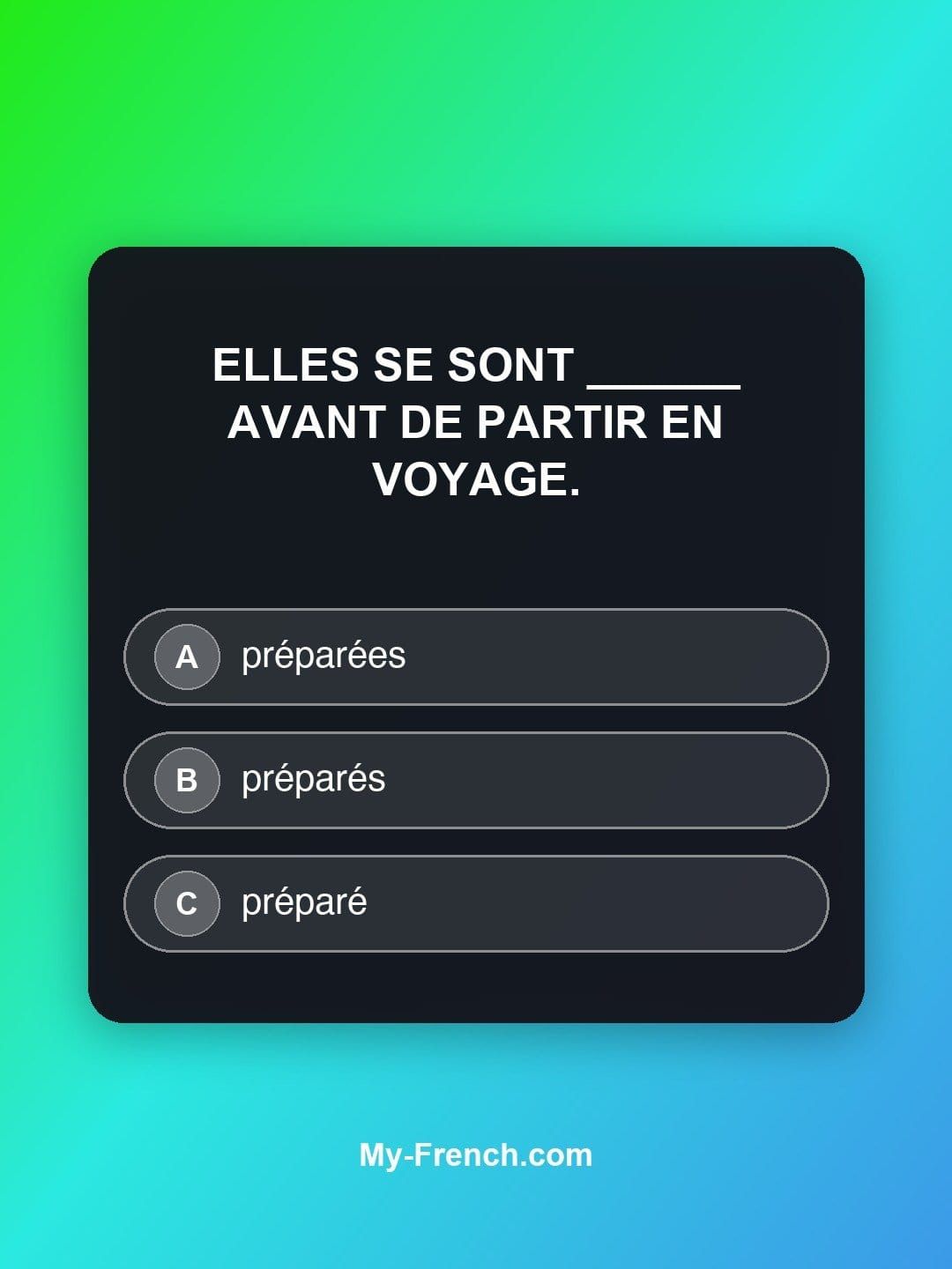 Quiz de français — Niveau B1 : Elles se sont ______ avant de partir en voyage.