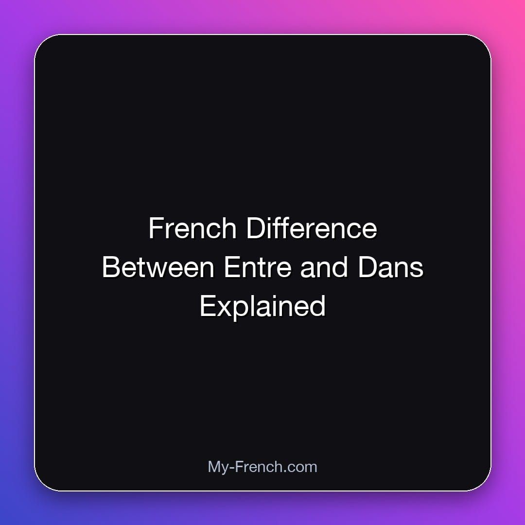 French Difference Between Entre and Dans Explained