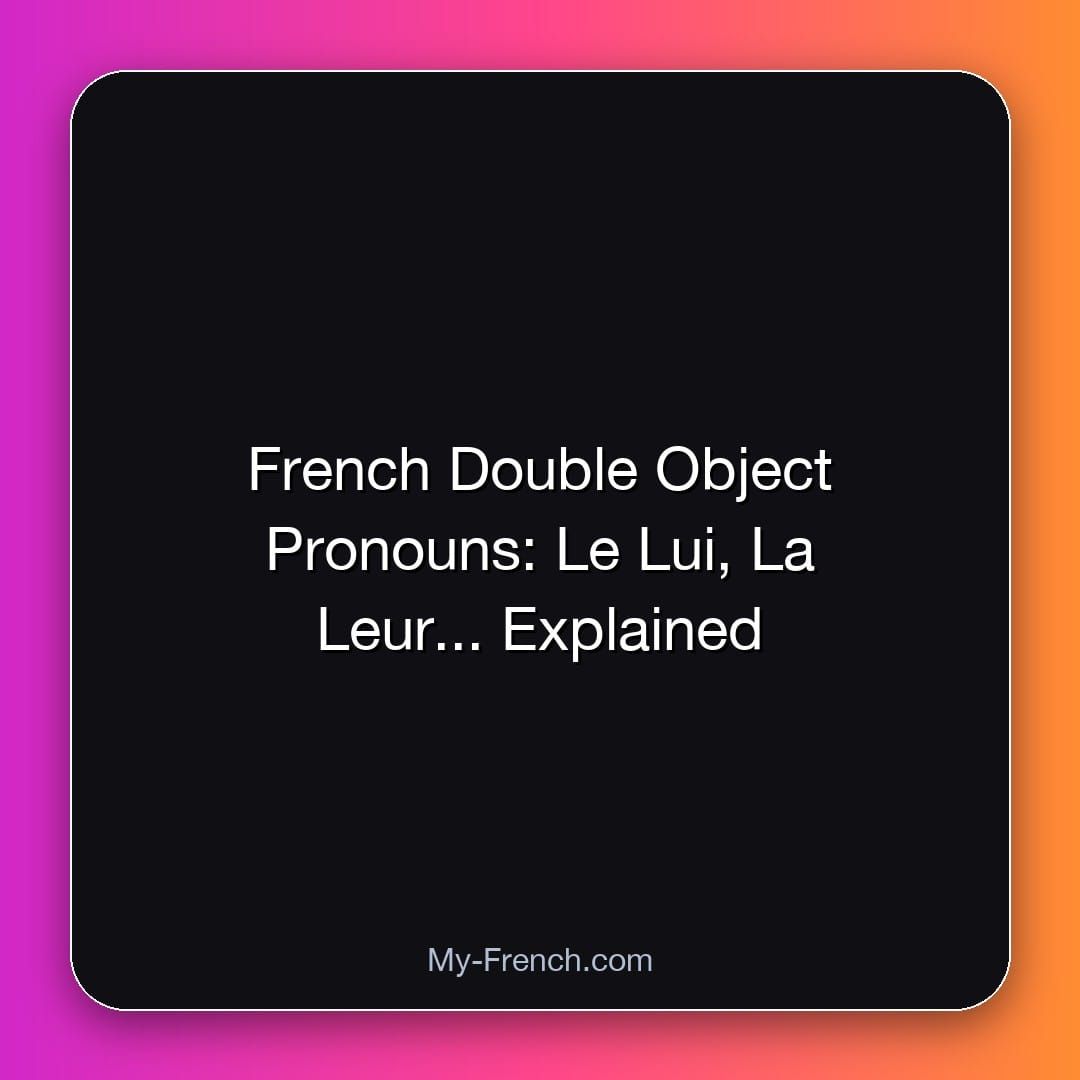 French Double Object Pronouns: Le Lui, La Leur... Explained