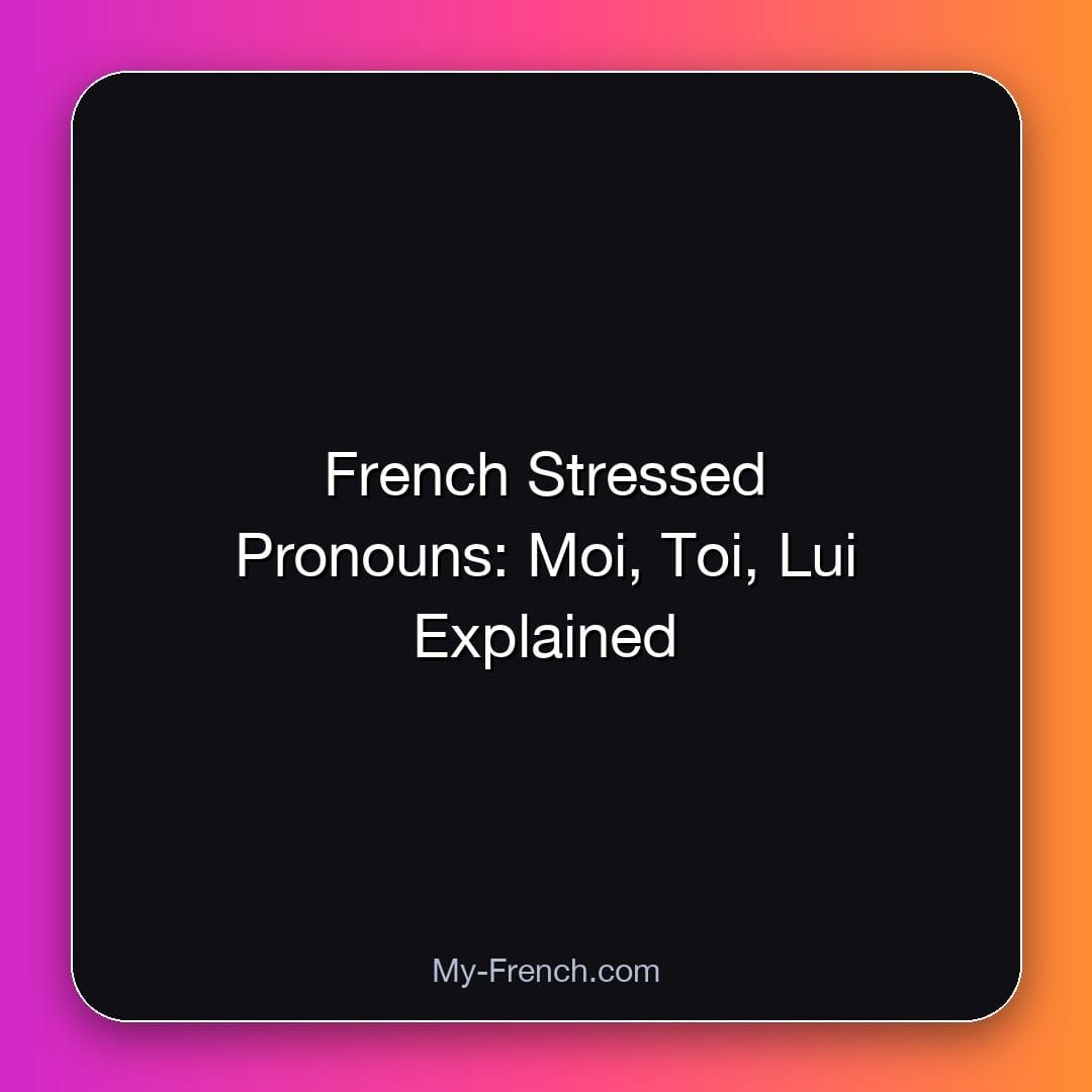 French Stressed Pronouns: Moi, Toi, Lui Explained