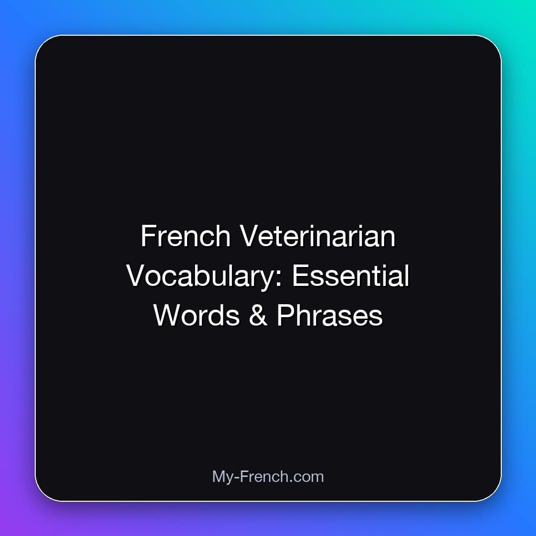 French Veterinarian Vocabulary: Essential Words & Phrases