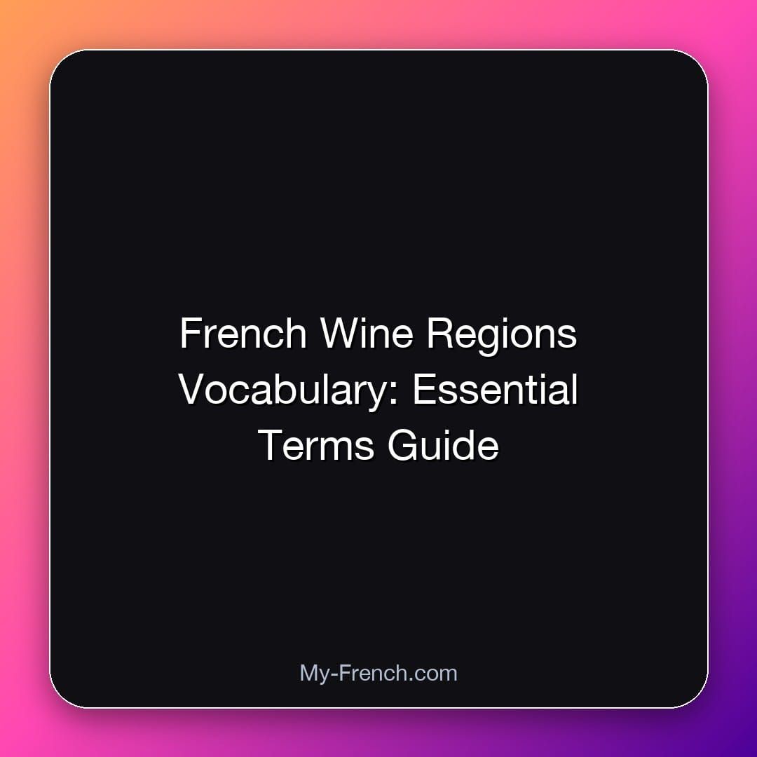 French Wine Regions Vocabulary: Essential Terms Guide