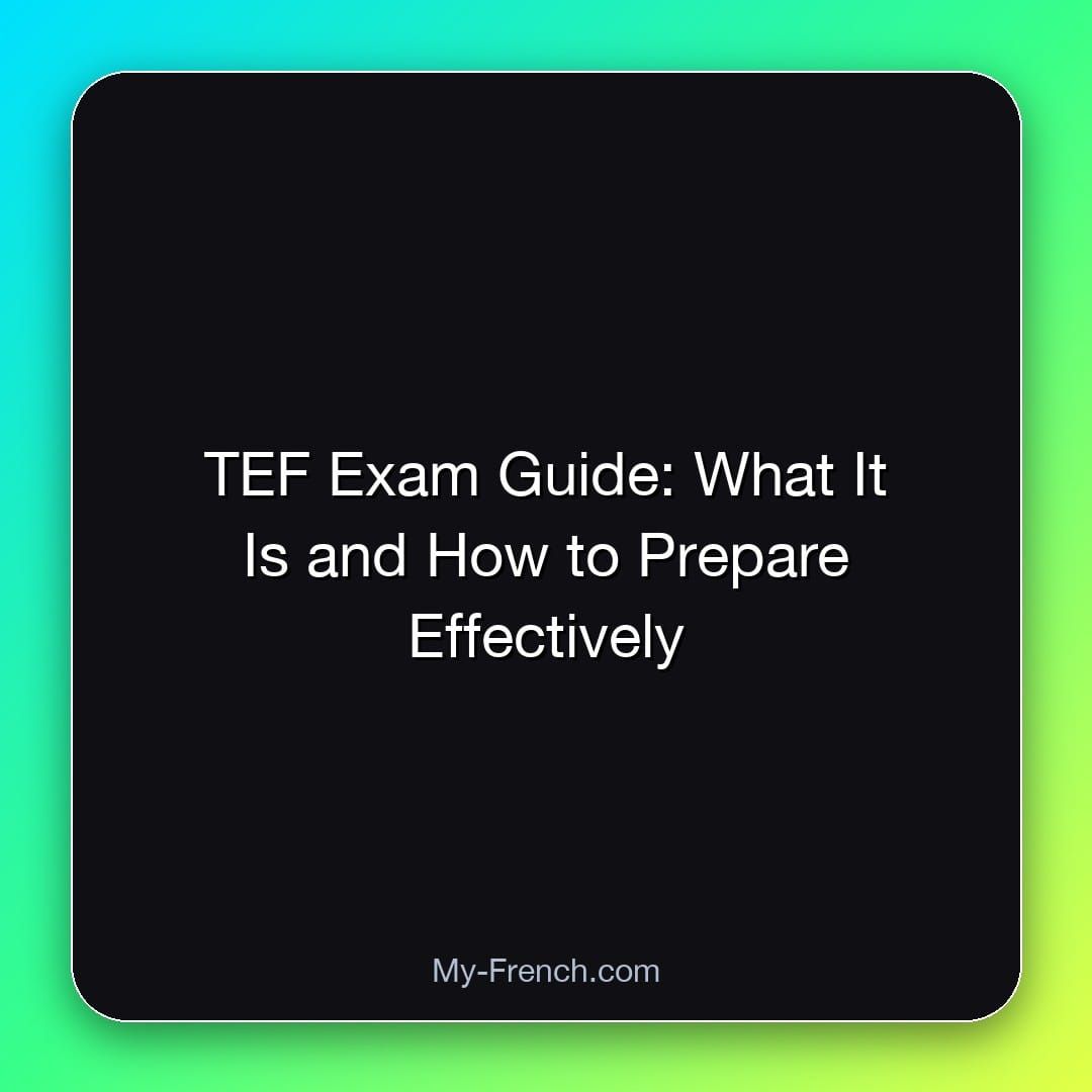TEF Exam Guide: What It Is and How to Prepare Effectively
