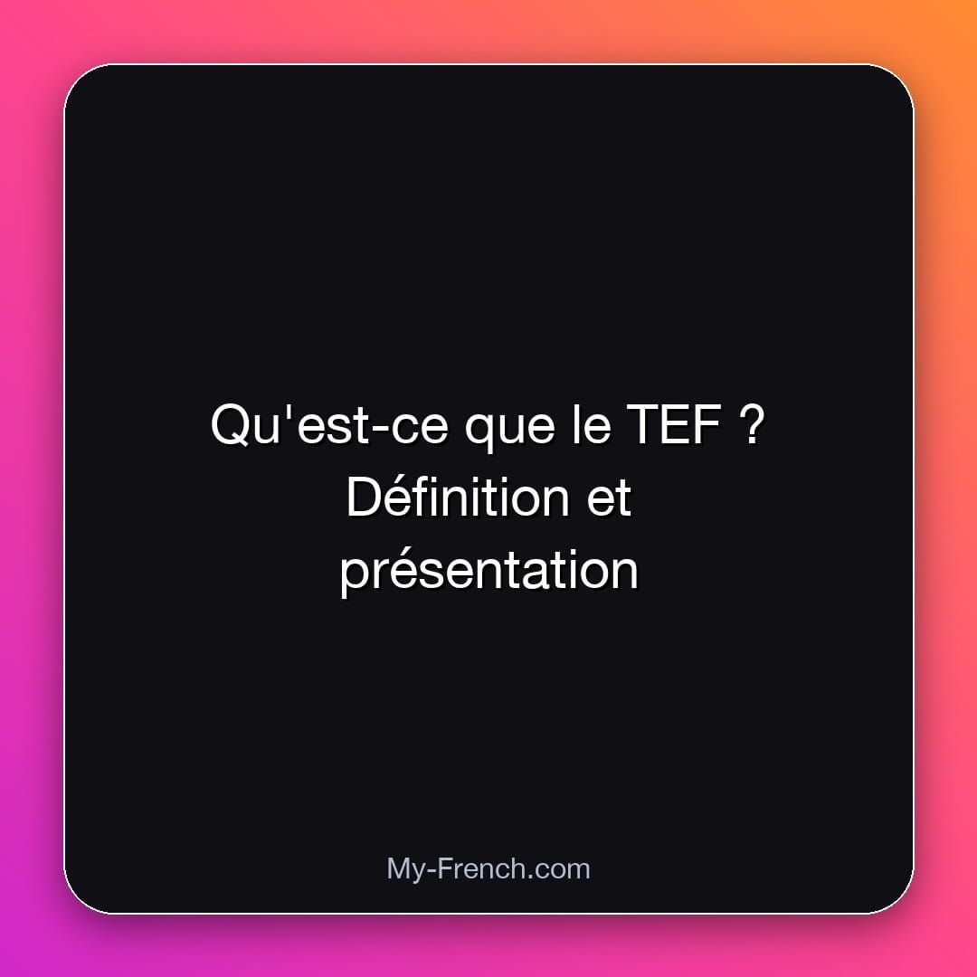 Qu'est-ce que le TEF ? Définition et présentation