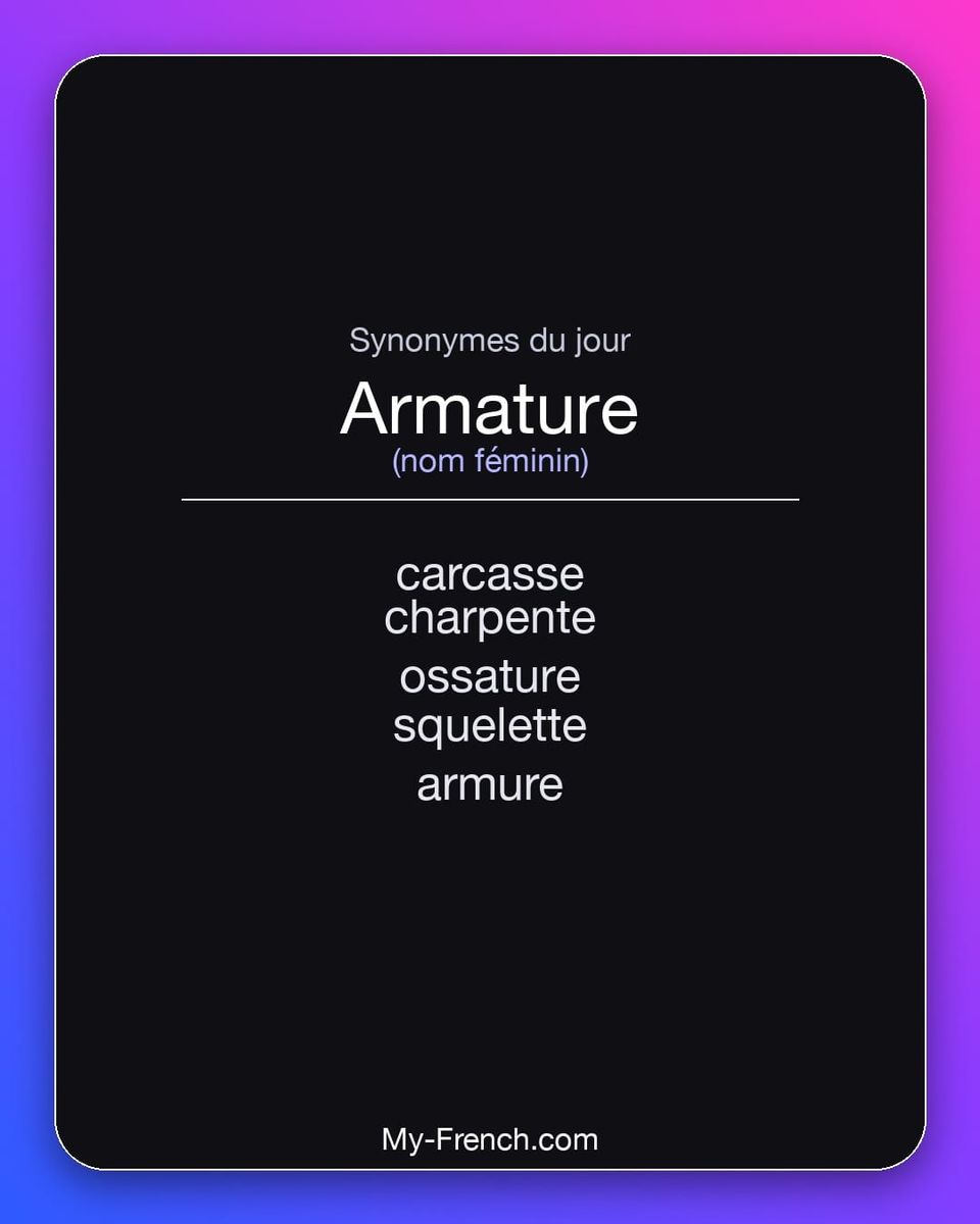 Synonymes de « armature »