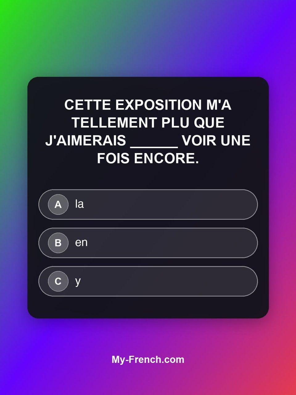 Quiz de français — Niveau B2 : Cette exposition m'a tellement plu que j'aimerais ______ voir une fois