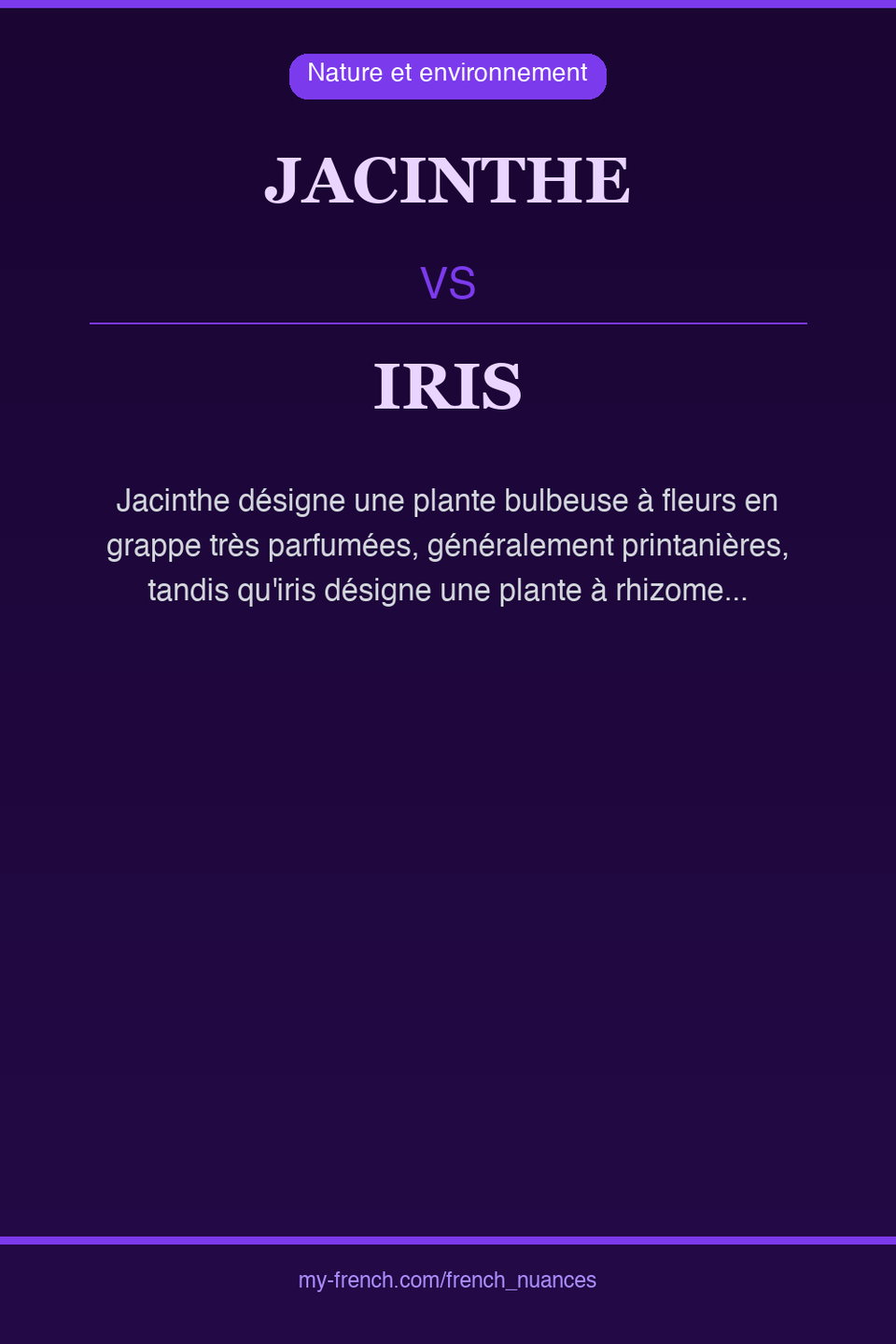 jacinthe vs iris : quelle nuance ?