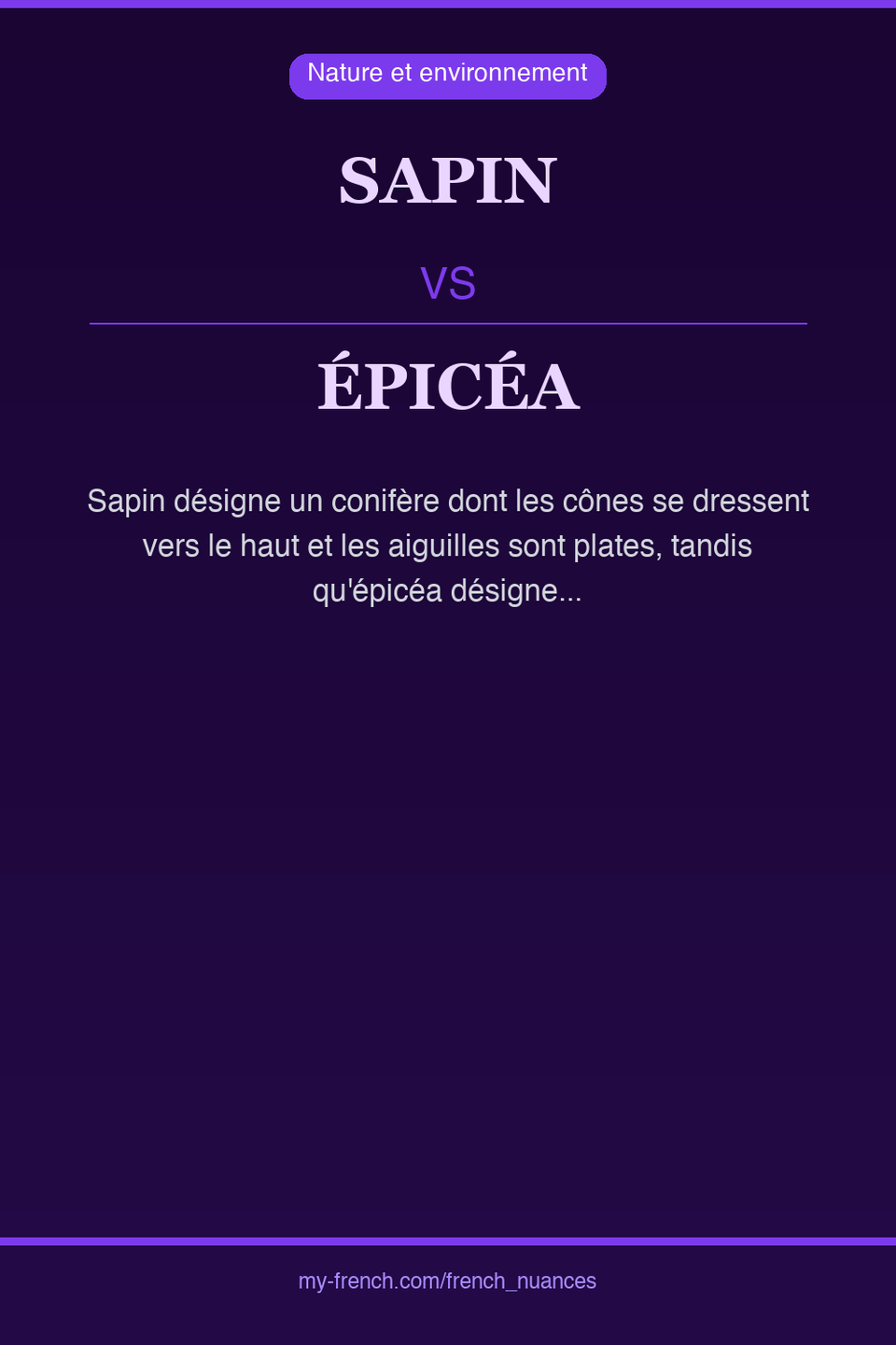 sapin vs épicéa : quelle nuance ?
