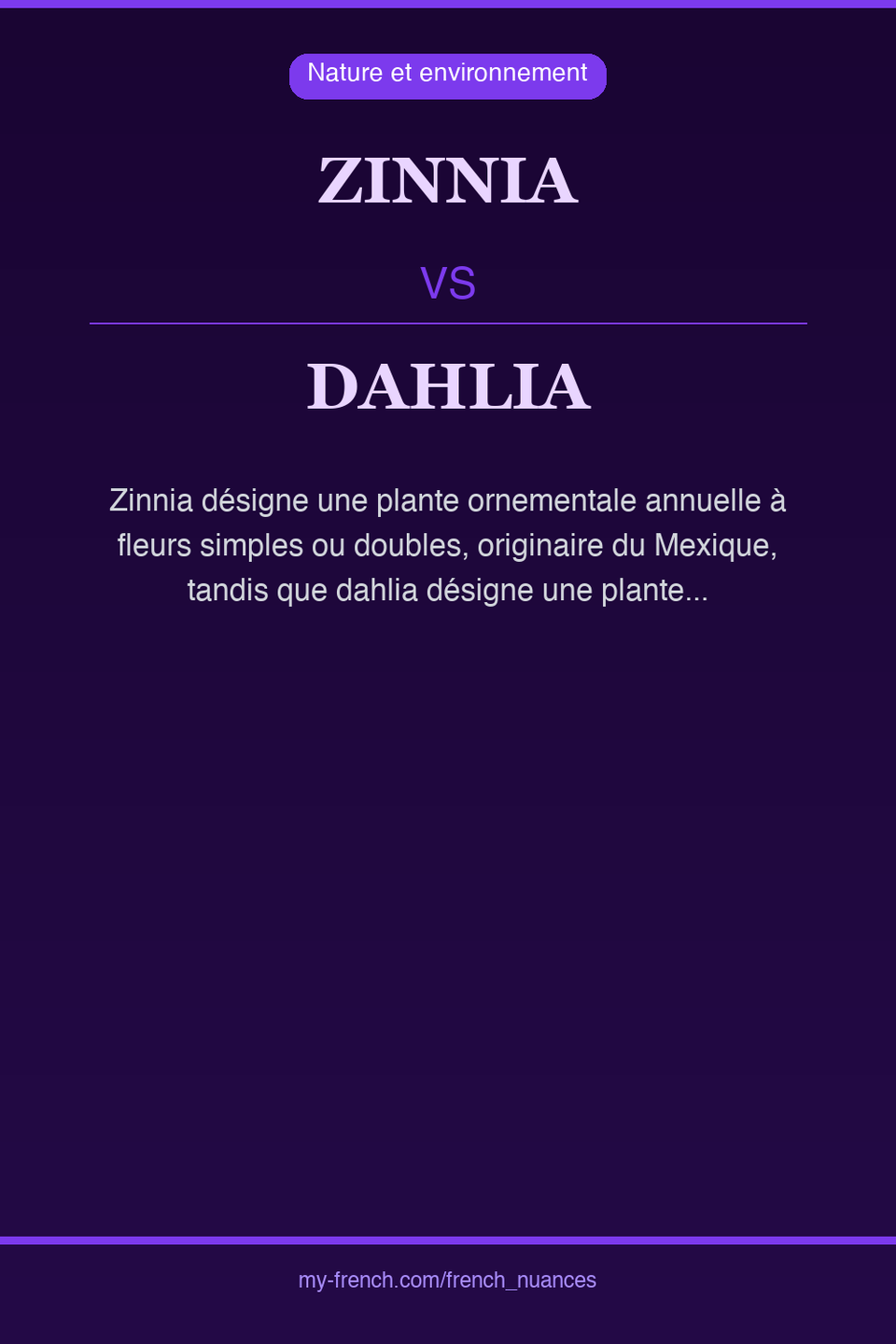 zinnia vs dahlia : quelle nuance ?