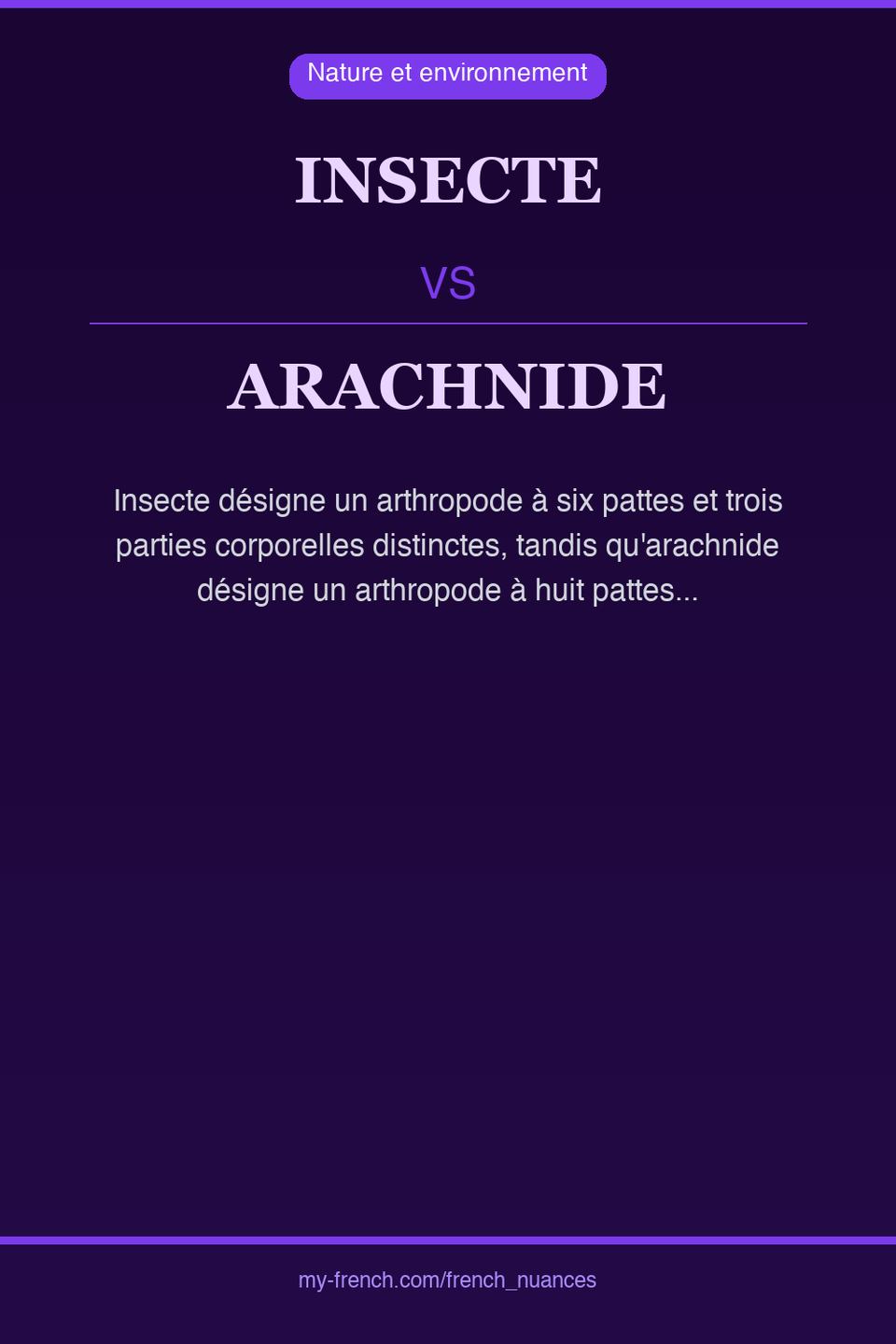 insecte vs arachnide : quelle nuance ?