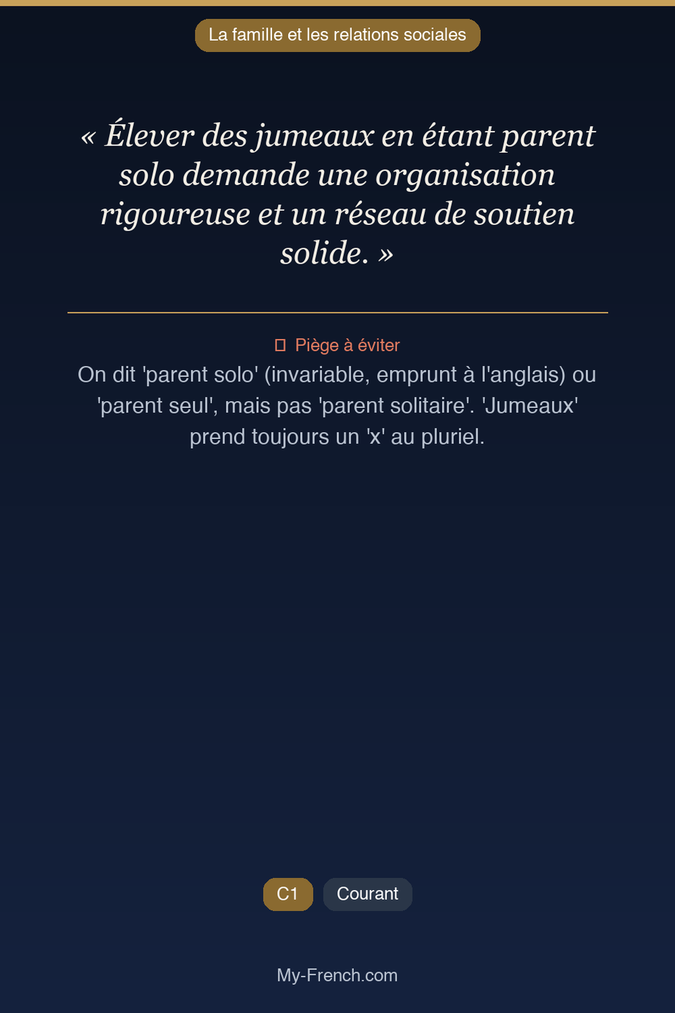 Français des affaires : « Élever des jumeaux en étant parent solo demande une organisation rigou »