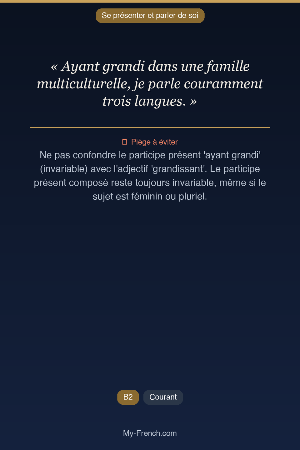 Français des affaires : « Ayant grandi dans une famille multiculturelle, je parle couramment tro »