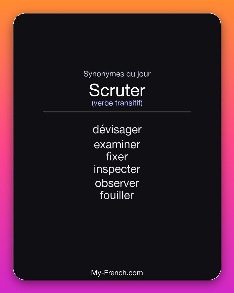 Synonymes de « scruter »