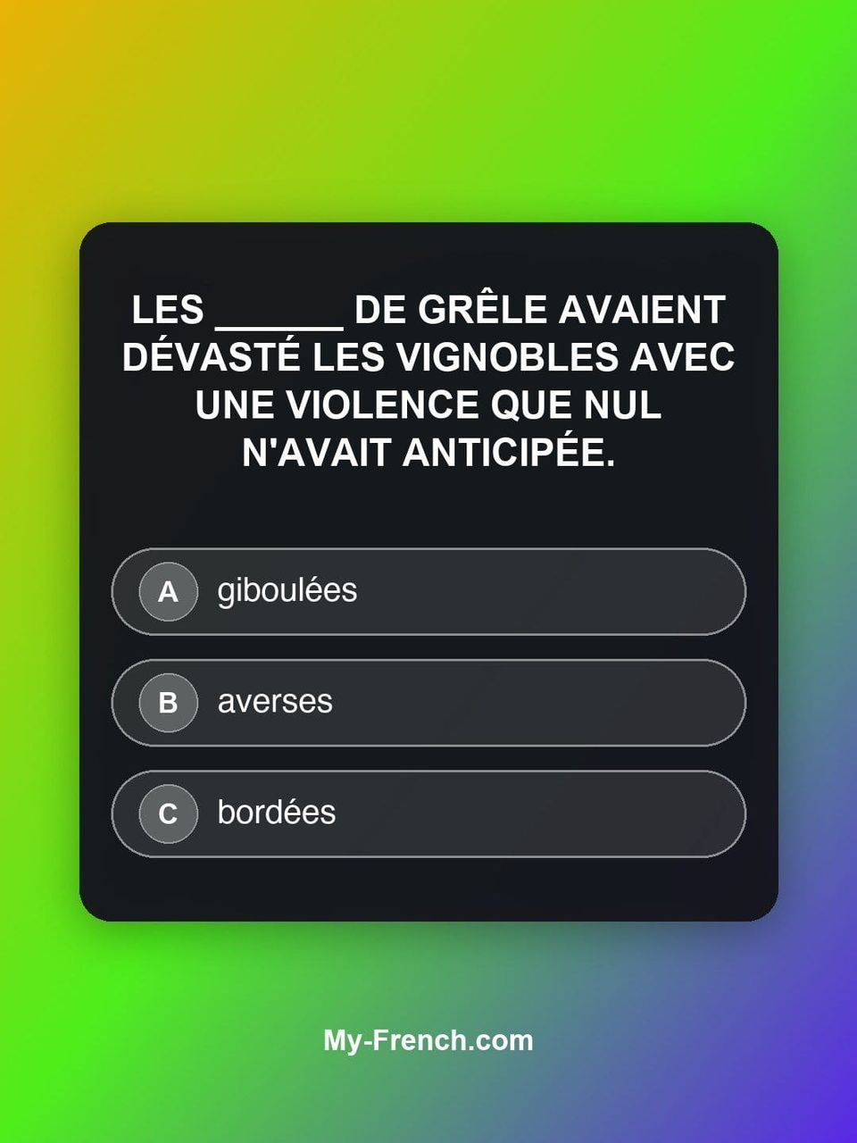 Quiz de français — Niveau C2 : Les ______ de grêle avaient dévasté les vignobles avec une violence qu