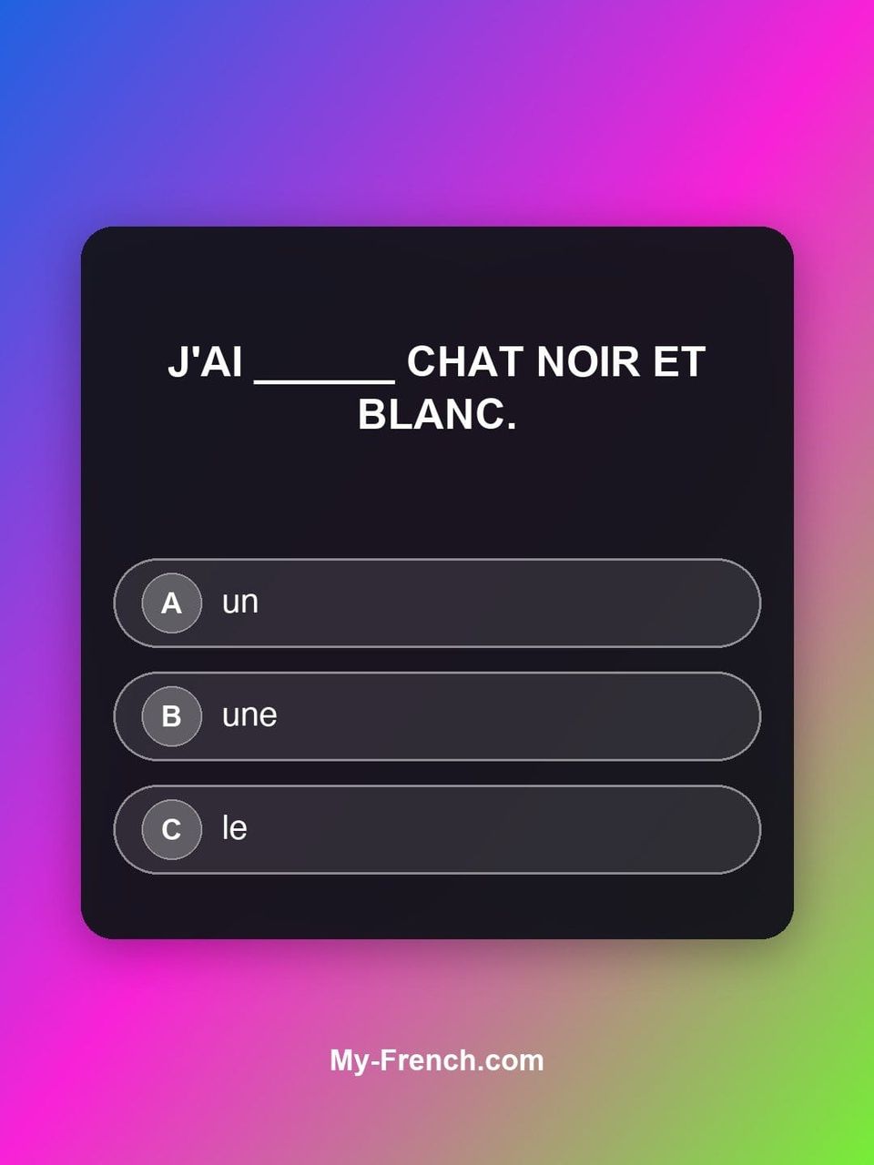 Quiz de français — Niveau A1 : J'ai ______ chat noir et blanc.