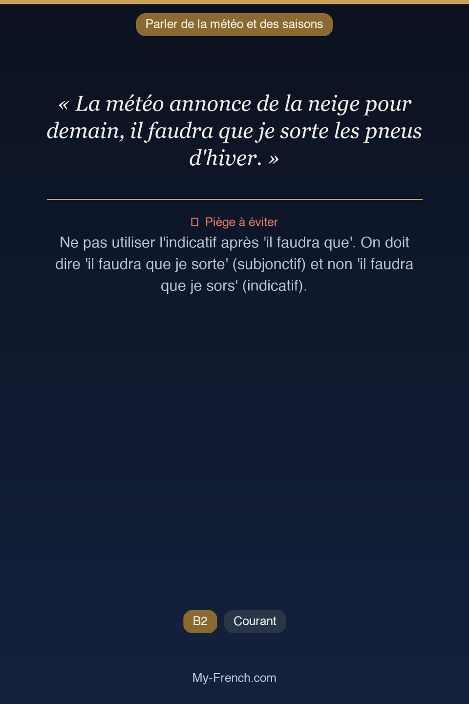 Français des affaires : « La météo annonce de la neige pour demain, il faudra que je sorte les p »