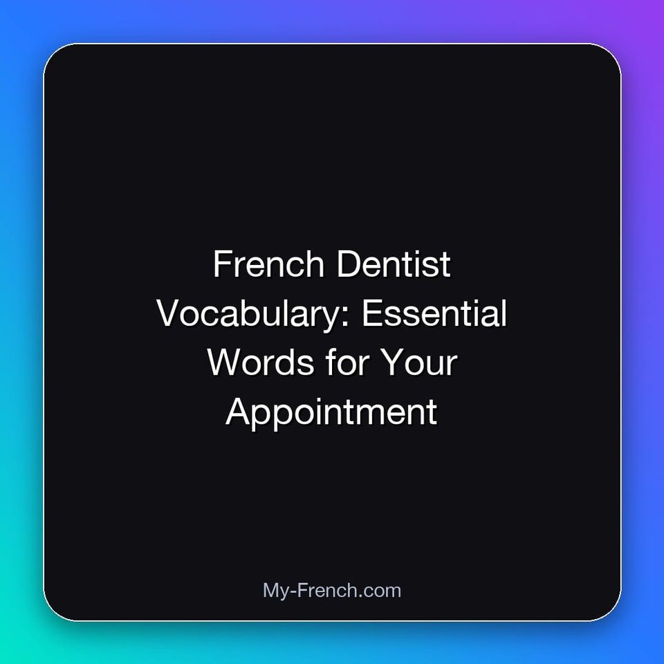 French Dentist Vocabulary: Essential Words for Your Appointment