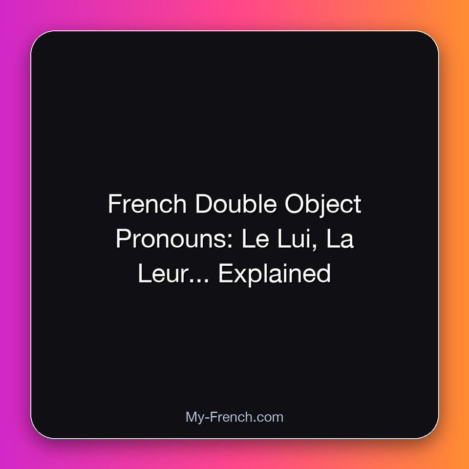 French Double Object Pronouns: Le Lui, La Leur... Explained
