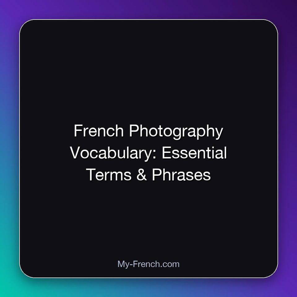 French Photography Vocabulary: Essential Terms & Phrases