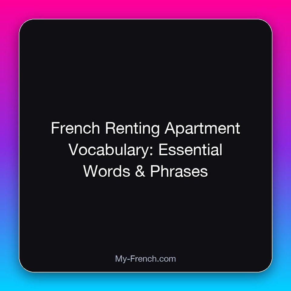 French Renting Apartment Vocabulary: Essential Words & Phrases