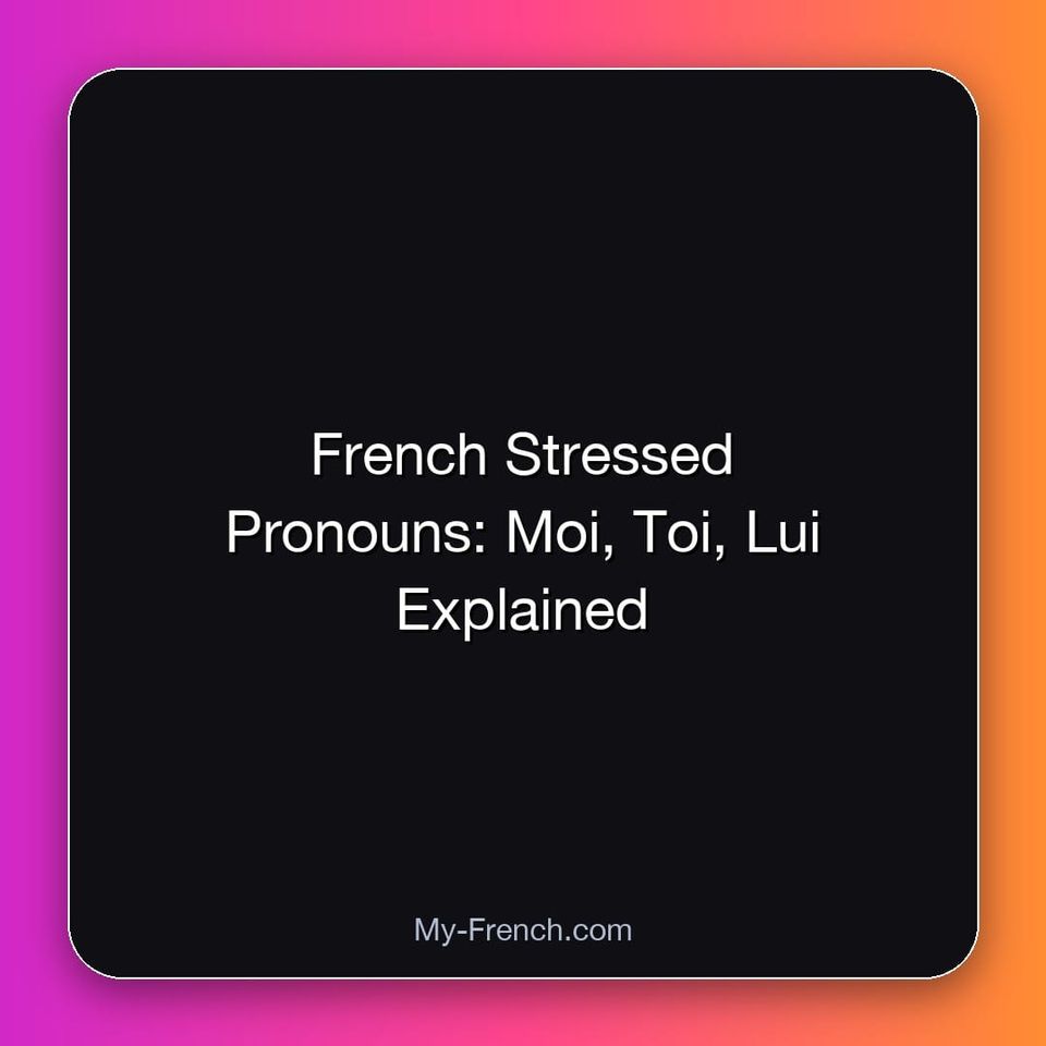 French Stressed Pronouns: Moi, Toi, Lui Explained