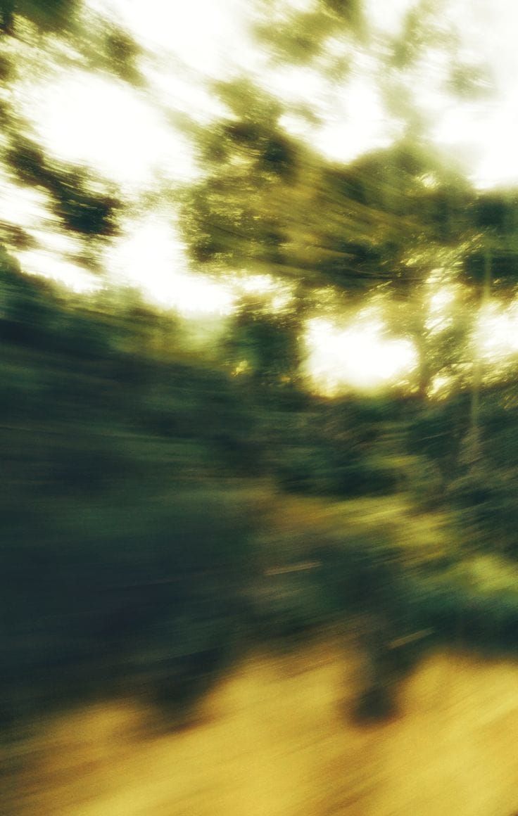 tiny ode to this & that