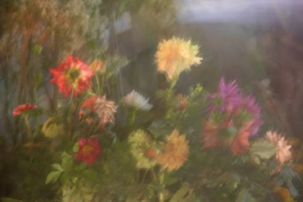 passerby