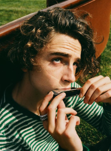 Timothée Chalamet será copresentador de la MET Gala