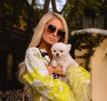 La camiseta con la leyenda "deja de ser pobre" de Paris Hilton era falsa