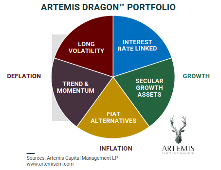 How My Portfolio is Positioned