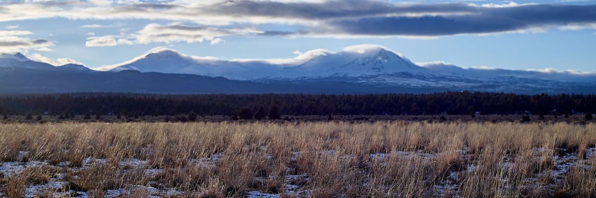 Bronica SQ to Phase One Backs: Update