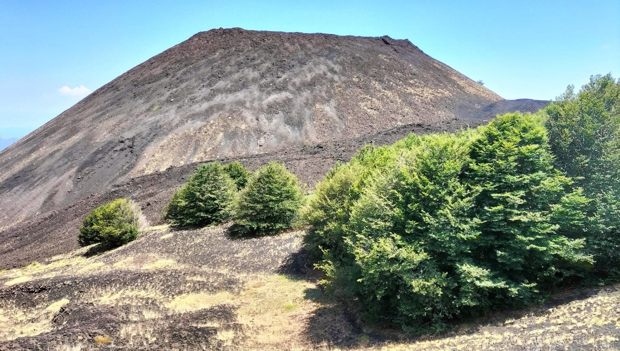 Una Faggeta ai margini di un cratere, lungo le pendici dell'Etna. Foto di Felice Mangano.