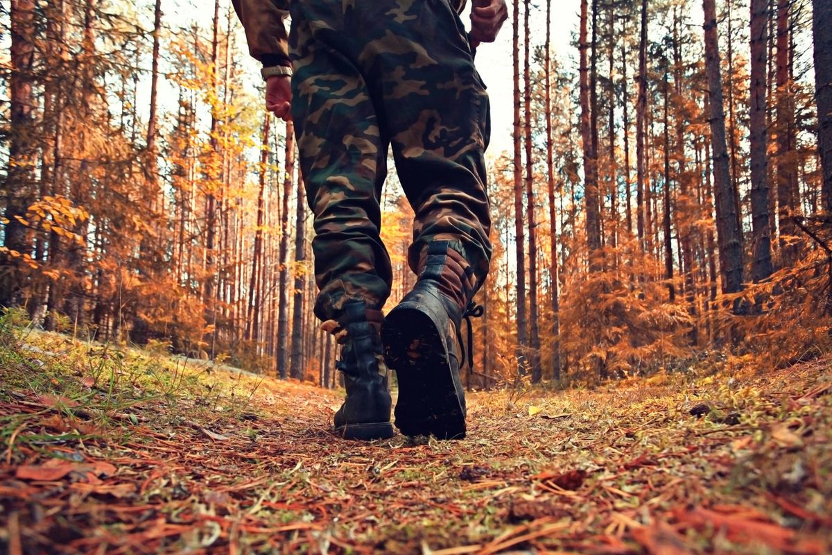 Scarponi nel bosco, ricerca fu