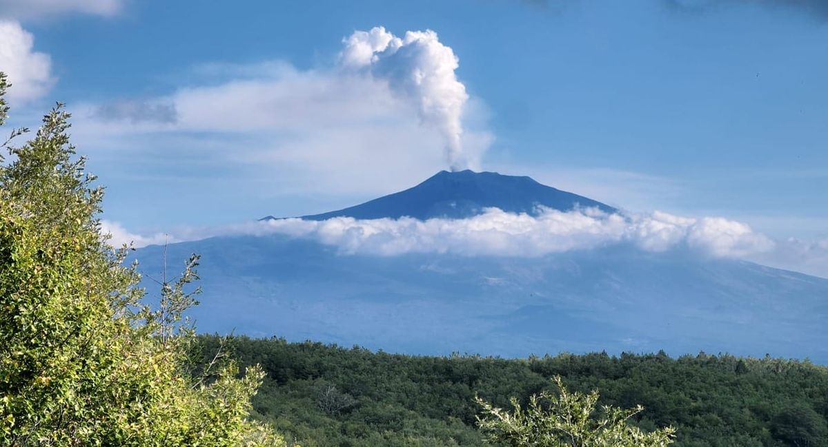 Sul cratere nasce il bosco: funghi e vulcani, una storia inattesa