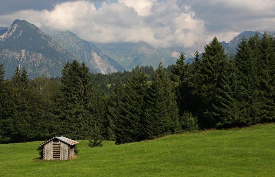 Prato, boschi e montagne sotto un cielo nuvoloso