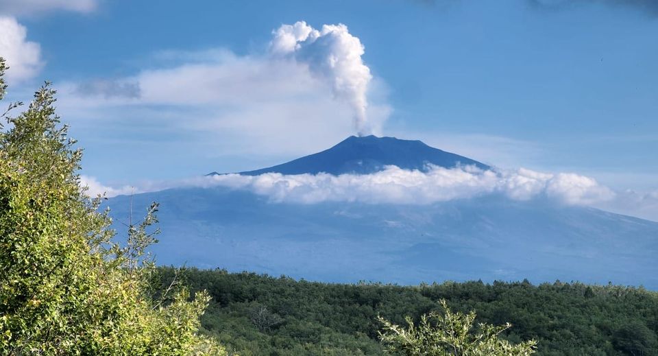 Sul cratere nasce il bosco: funghi e vulcani, una storia inattesa